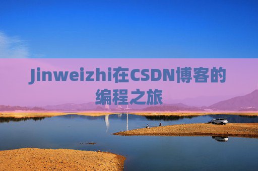 Jinweizhi在CSDN博客的编程之旅